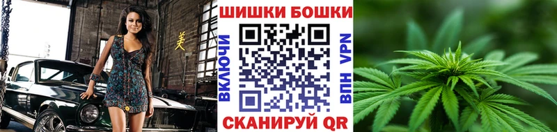 Бошки Шишки семена  закладка  Шарья 